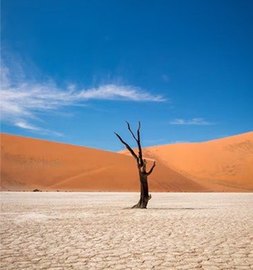 Tour Image